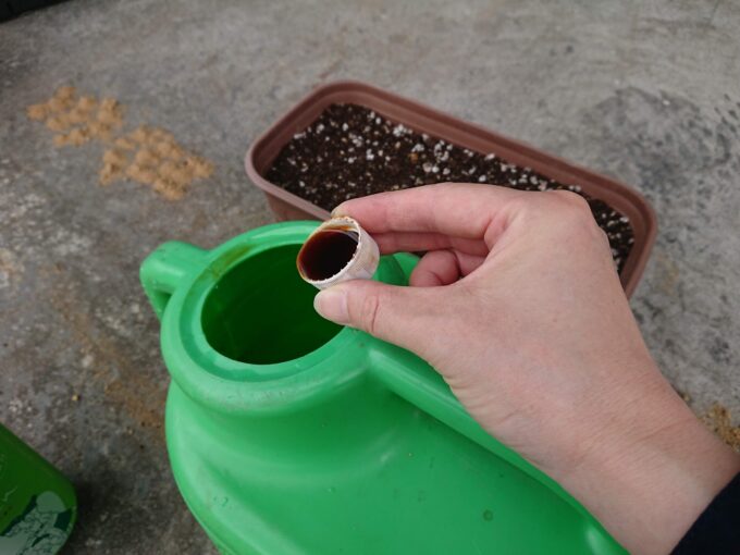 米のとぎ汁をEMと併用して水やりするイメージ