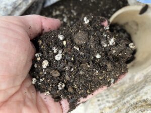 ポット用EM有機培土