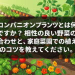 コンパニオンプランツ（共栄作物）の仕組みと効果を解説。トマト×バジル、ナス×パセリなど相性の良い組み合わせ15選と、プランターでの植え方のコツ、避けるべきNG組み合わせも紹介します。