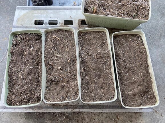 古い根や雑草を取り除き、表面をならしたプランター