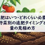 家庭菜園における追肥のタイミング・量・頻度を野菜別に解説。肥料過多・不足のサインの見分け方、有機肥料での追肥方法、EMボカシと液肥の使い分け、プランター栽培での追肥の注意点まで網羅します。